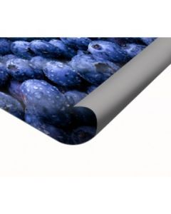 Propylene Pop Up Banner - 10 mil (Pop Up Brand)